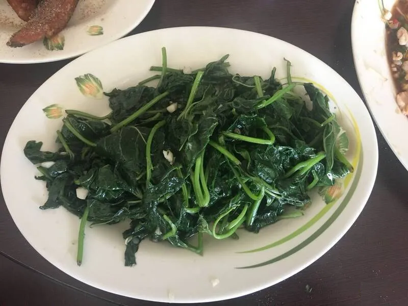 5-loai-rau-giau-protein-bo-sung-dinh-duong-tu-tu-nhien